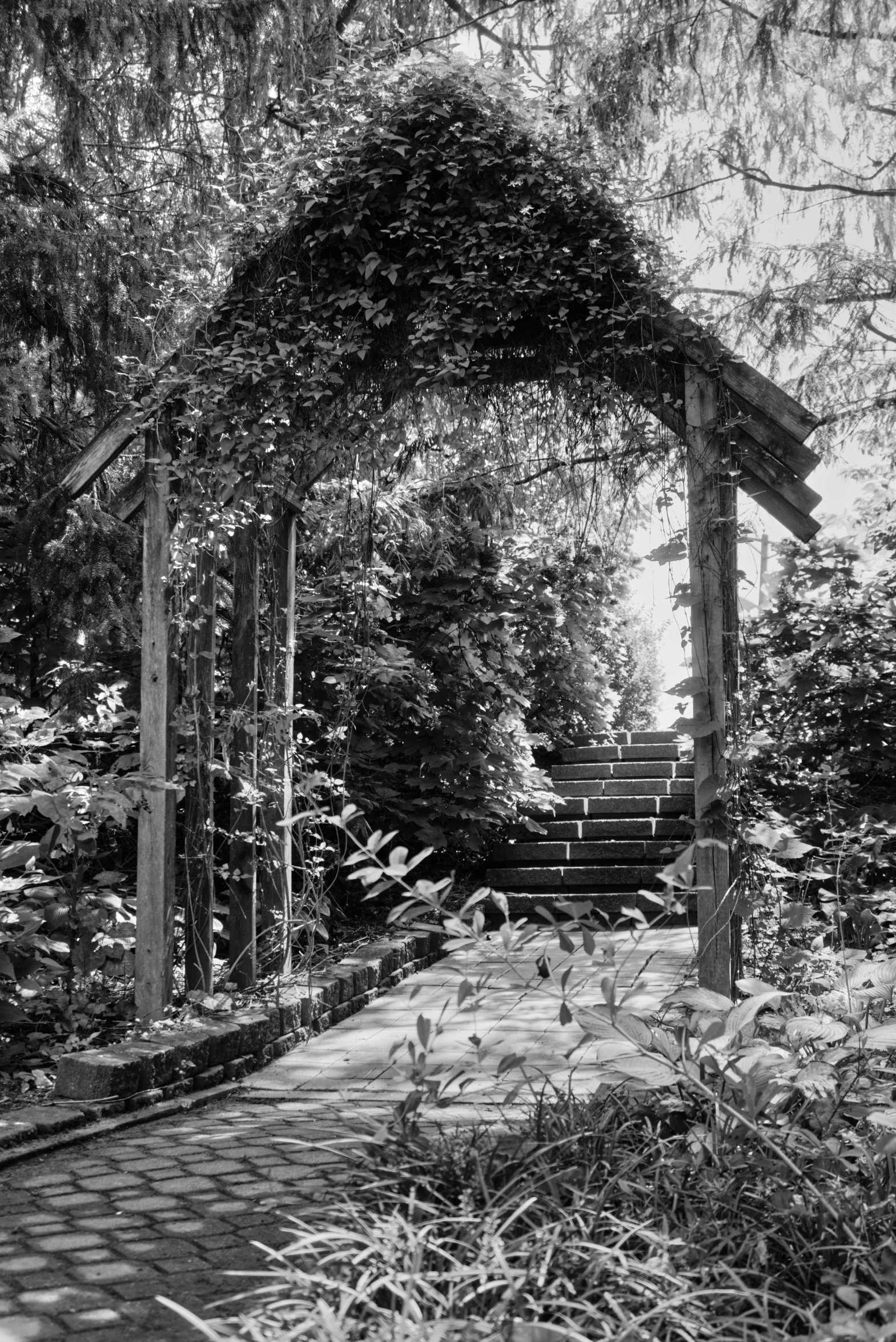 a wooden structure in the middle of trees