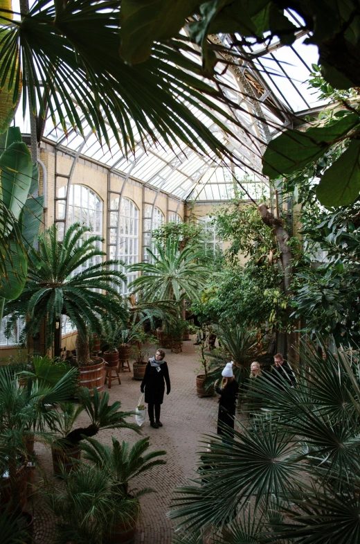 a group of people walk through a greenhouse