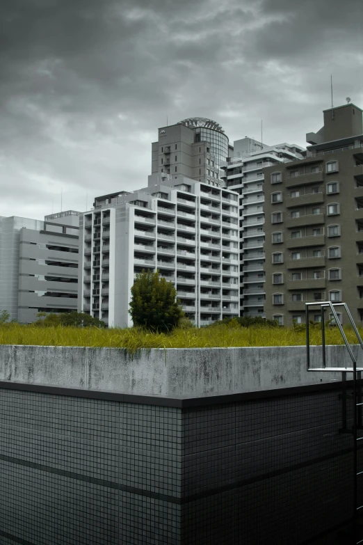 a city with very tall buildings with grass on the roof