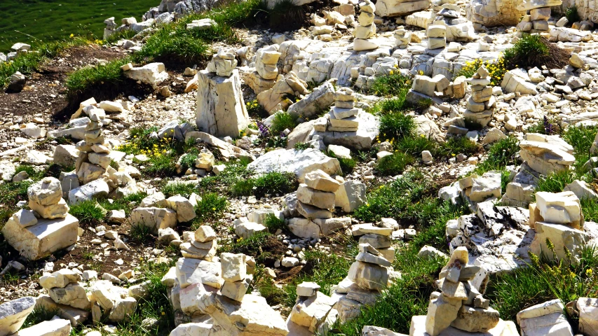 some rocks and grass on a hillside