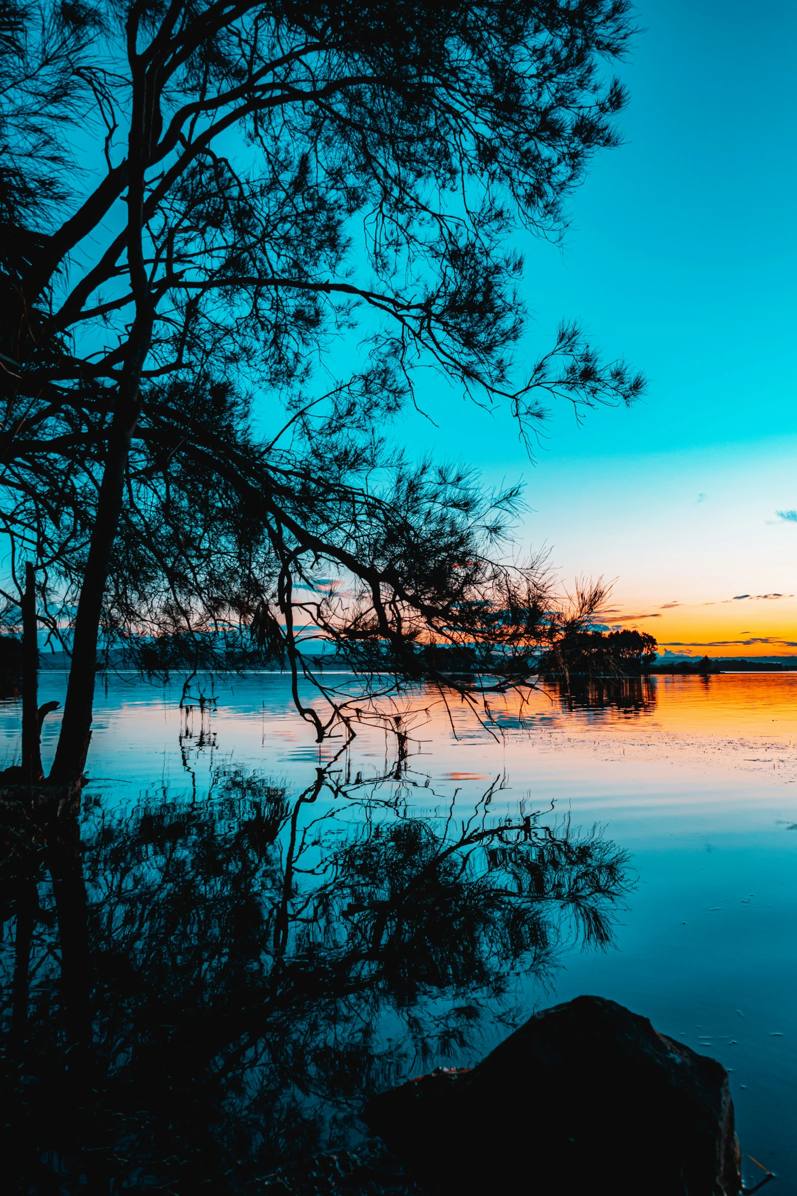 a large body of water sitting under trees