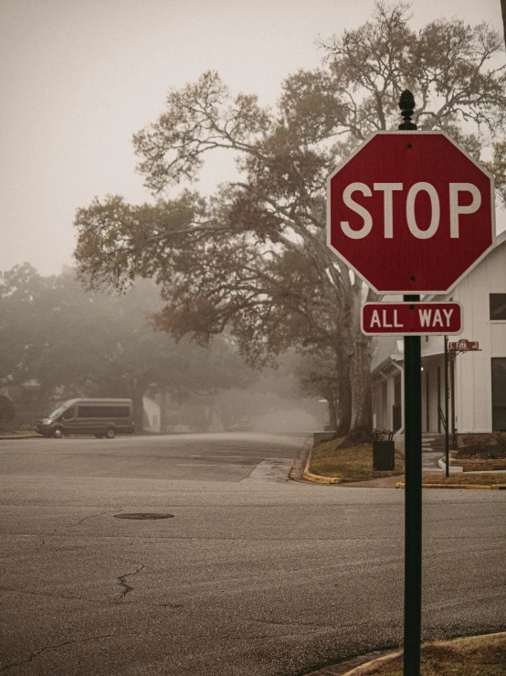 a stop sign on a small road in the fog
