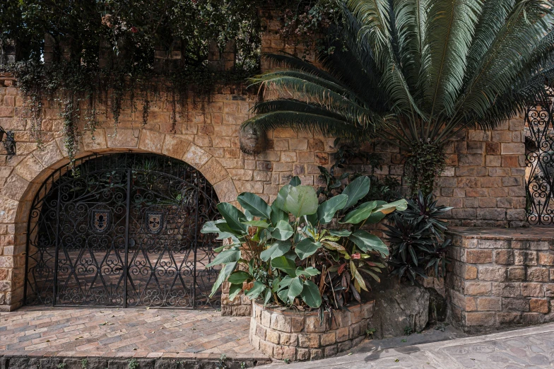 a building has a gate, gate with vines, and plants in it