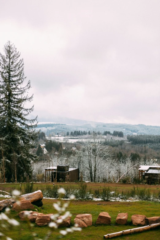 a wooden log house near a big tree