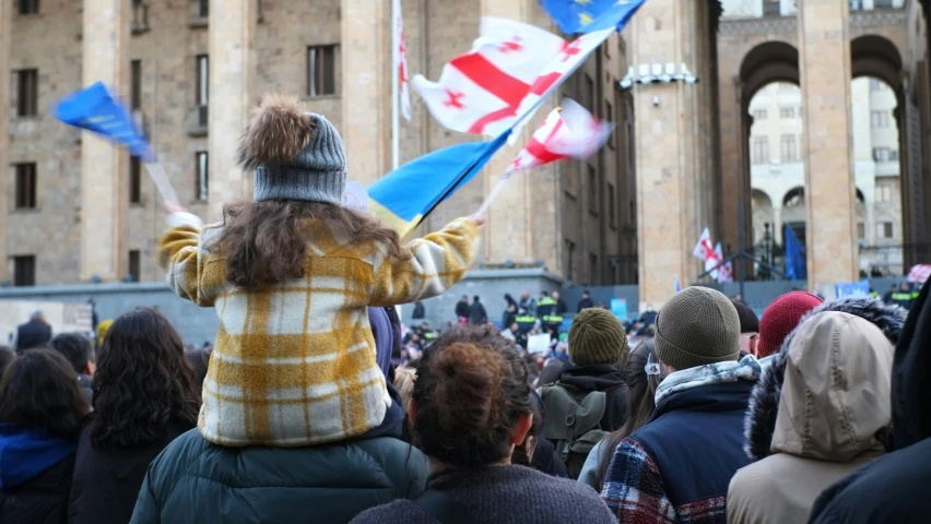 a person in a crowd holding a flag