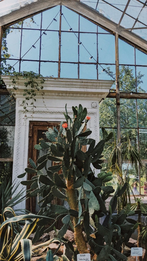 an indoor greenhouse that contains several plants in it