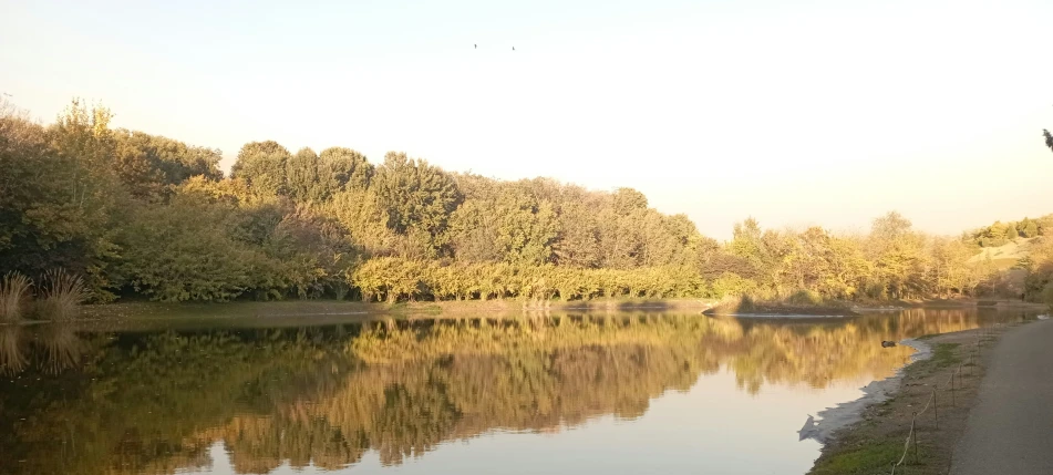 the water is clean but a bicycle is riding the bike