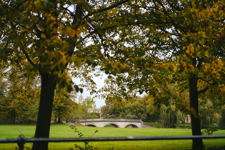 bridge in the distance seen through the trees