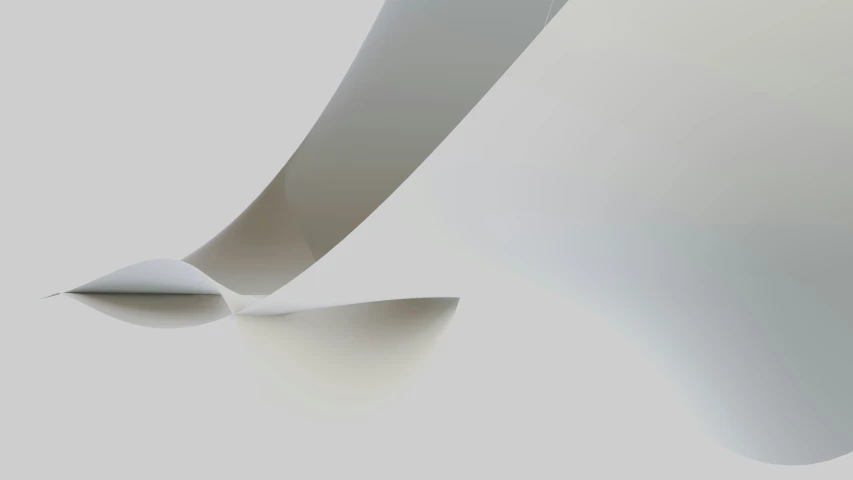 a piece of paper with curved edges