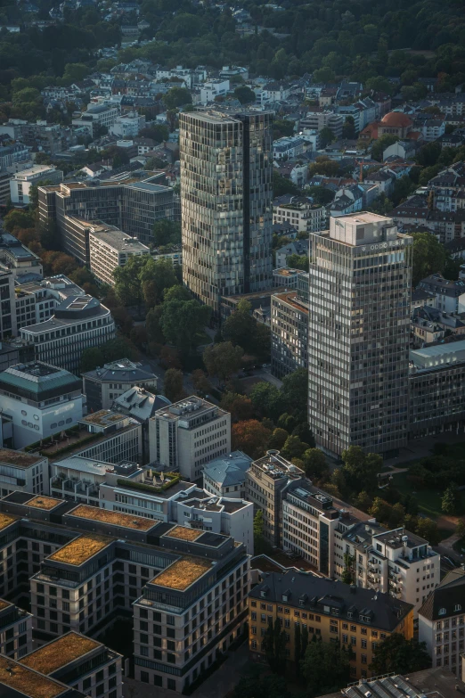 many tall buildings sit in the distance, with the city skyline in the foreground