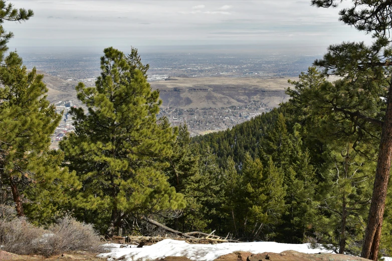 a view from an overlook point above trees and snow