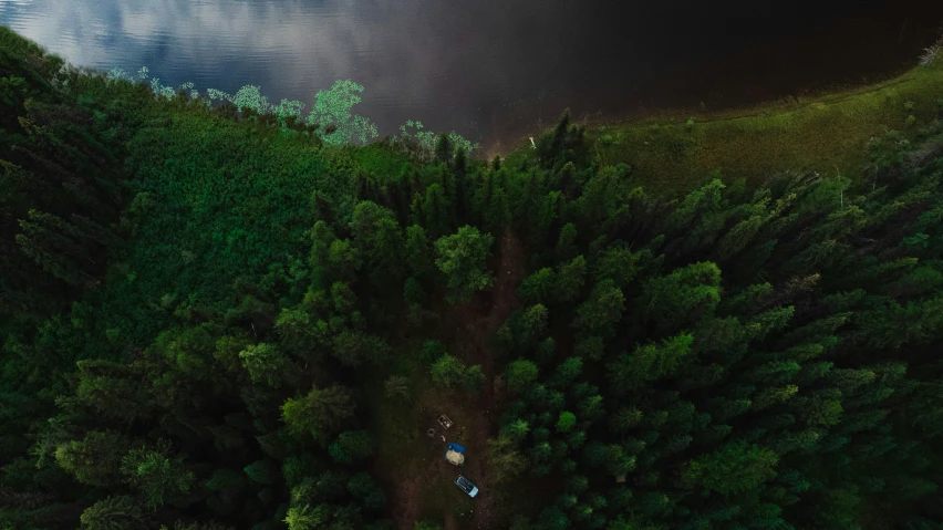 a road going through the woods surrounded by trees