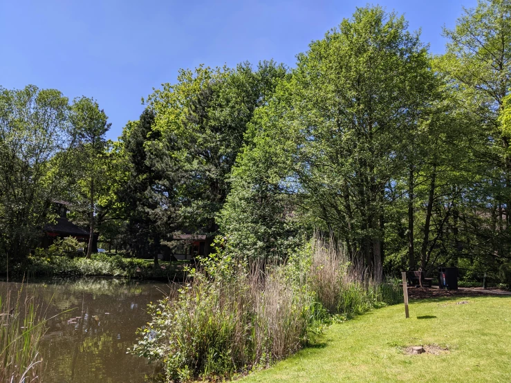 a beautiful park next to a river with trees and water