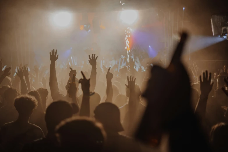 a crowd of people at a concert with raised hands