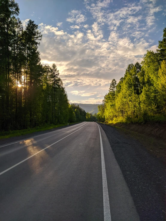 an empty road surrounded by trees and the sun