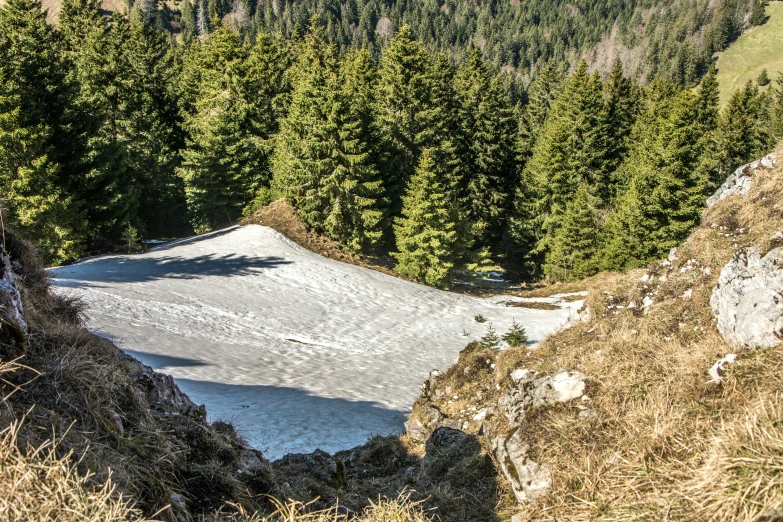 an image of snow covered slope with some pine trees