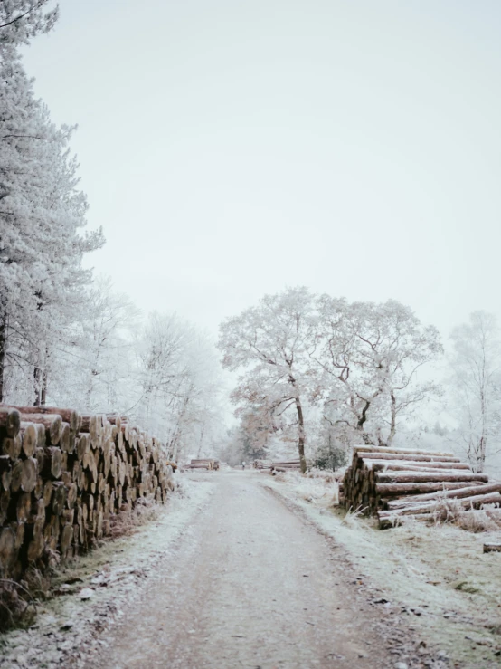 the road is covered in snow and piles of logs