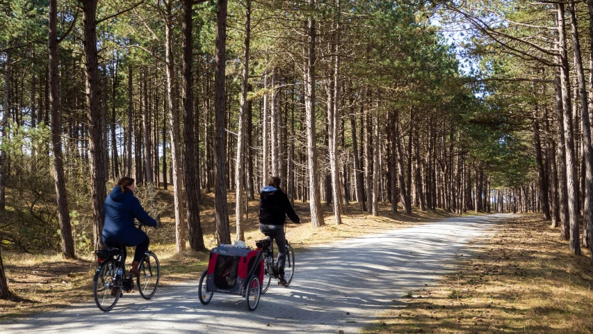 two people riding their bikes down a tree lined dirt road