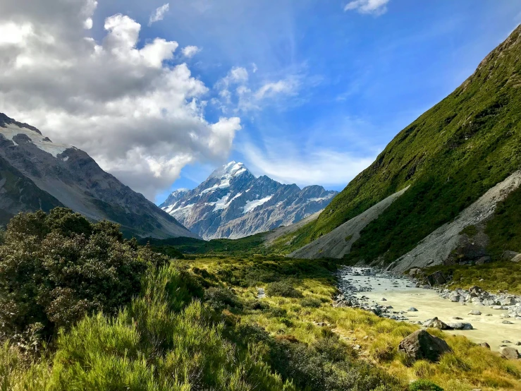 the mountains are filled with trees and bushes