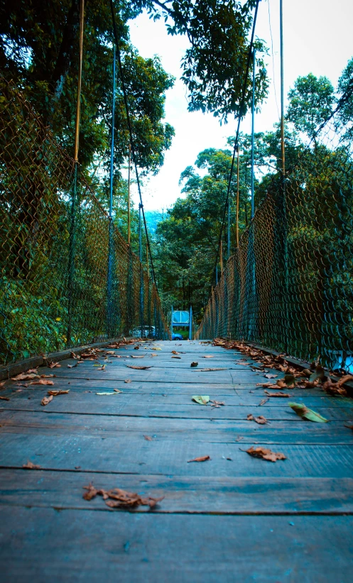 a wooden walkway bridge through the woods