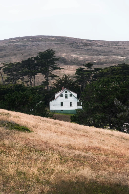 a lone house on a hill overlooking trees