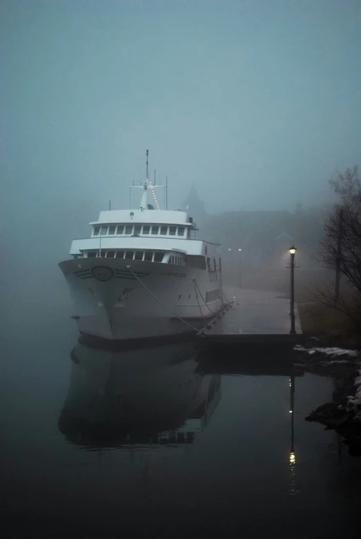 a large cruise ship in the water with fog