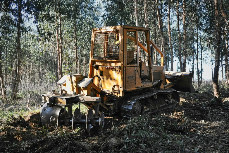 an old yellow bulldozer in a forest with other equipment