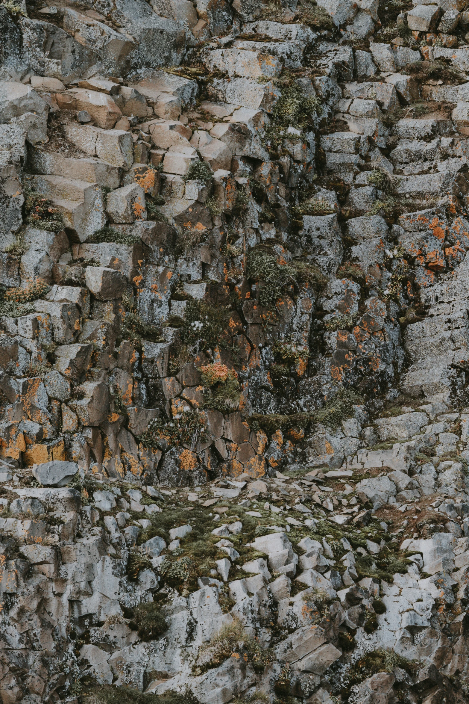 a wall made out of stones with moss on the ground