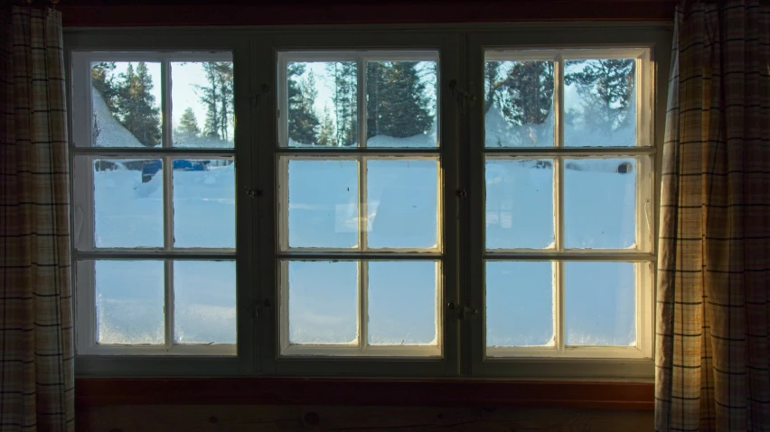 the view out a window into a snowy forest