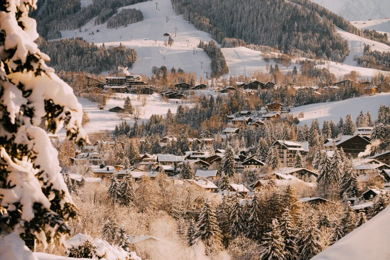 there is a village in the distance in the snow