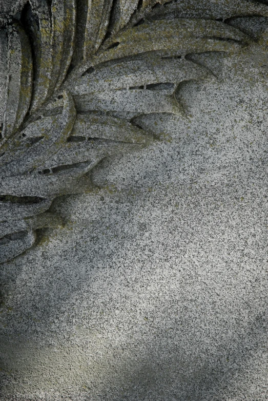 an area is shown with sand, seagulls and other animals