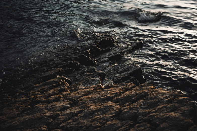 a bird sitting on the edge of a cliff looking at water