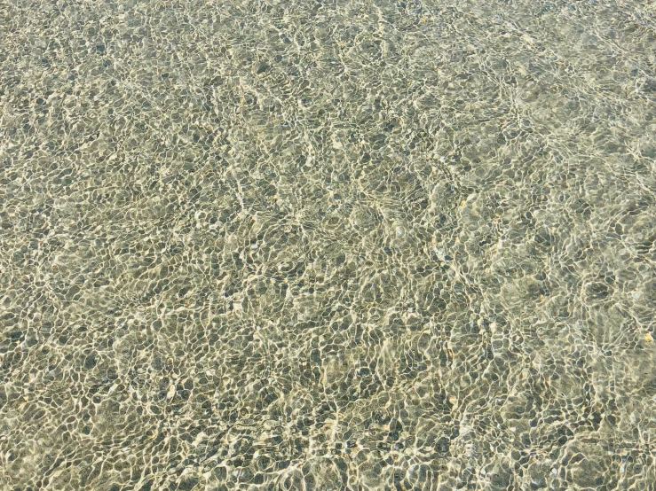 a brown sand dune area with green and white sand