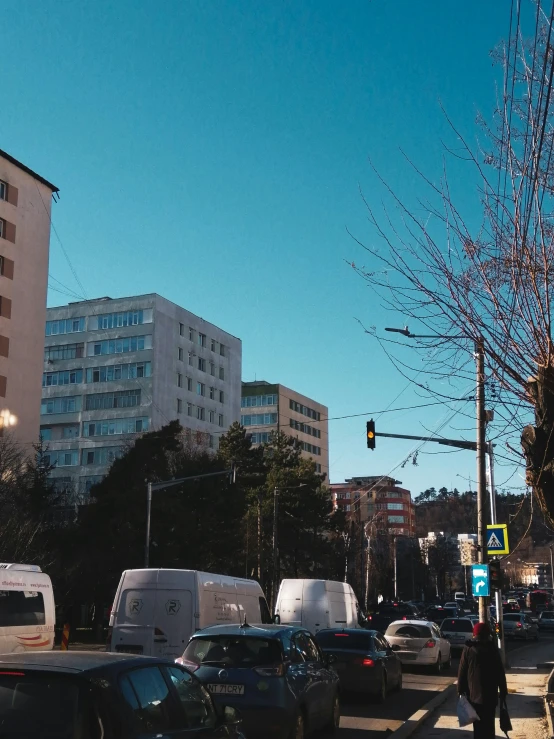 the trees and cars are lined up along the city street