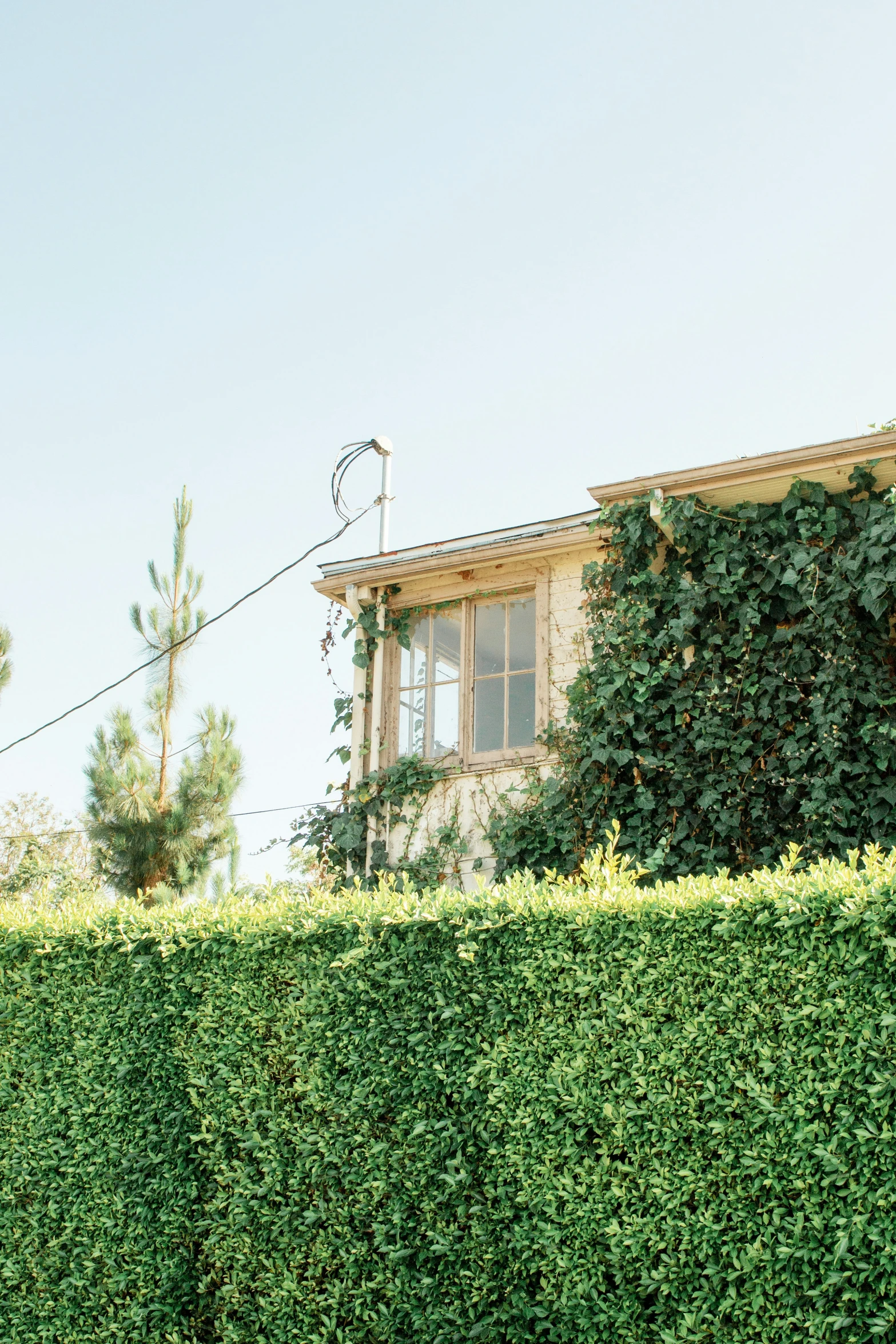 a house surrounded by lush green grass