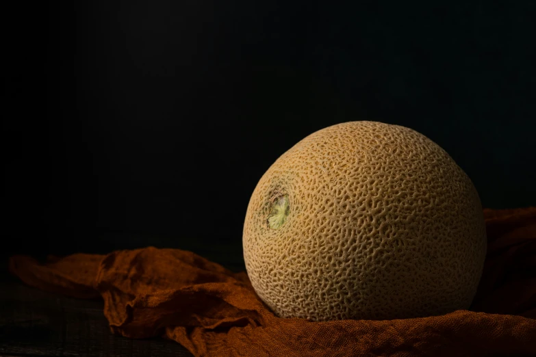 a large round fruit sitting on top of a cloth