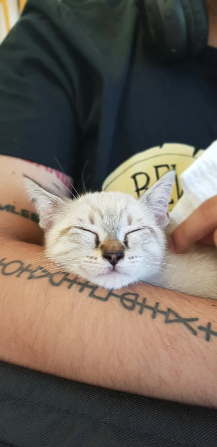 a man with a tattoo on his arm holding his sleeping cat