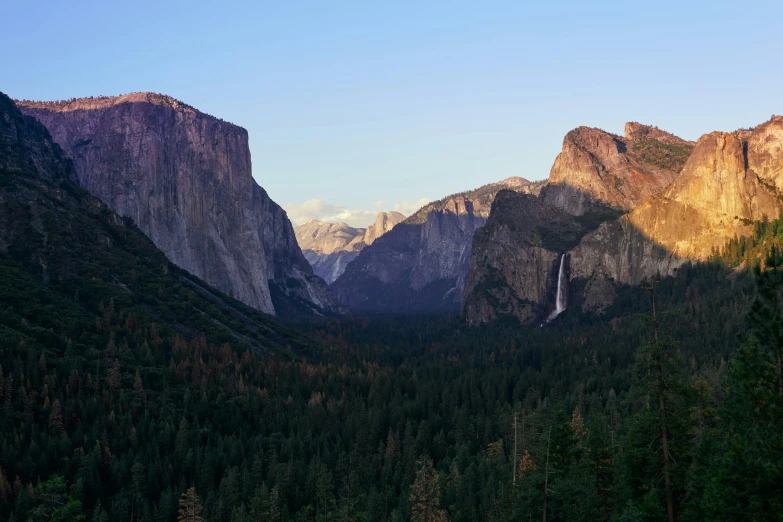 the mountains are covered with tall pine trees