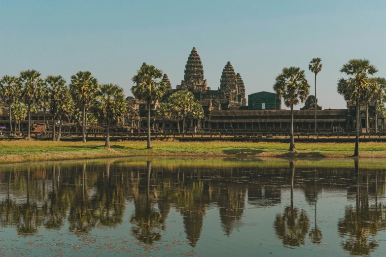 the view of a body of water and several large, complex trees