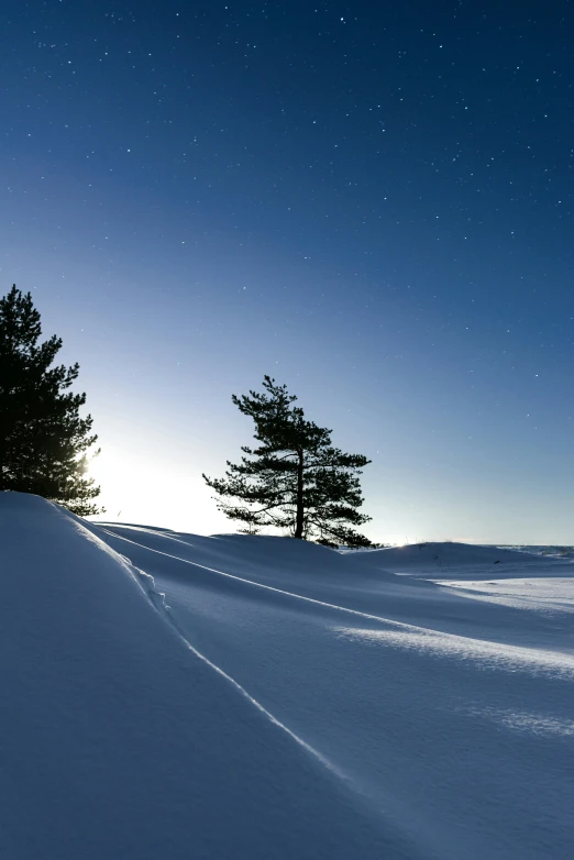 a hill with snow in the foreground and some trees in the background