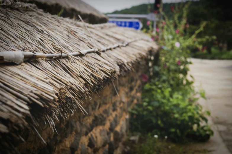 a view from the side of a grass thatched roof