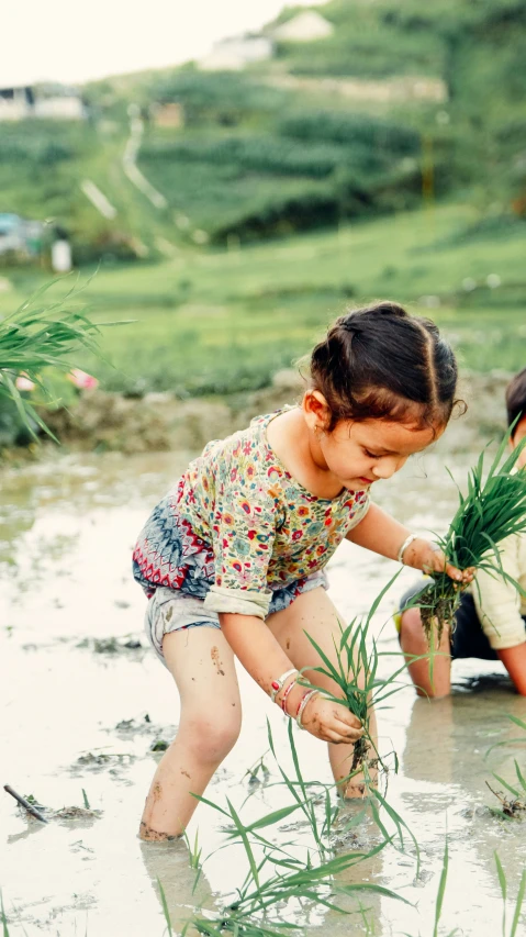 a small child playing in some water near an open field