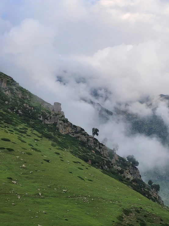 clouds hovering over a green hill with a tree in the foreground