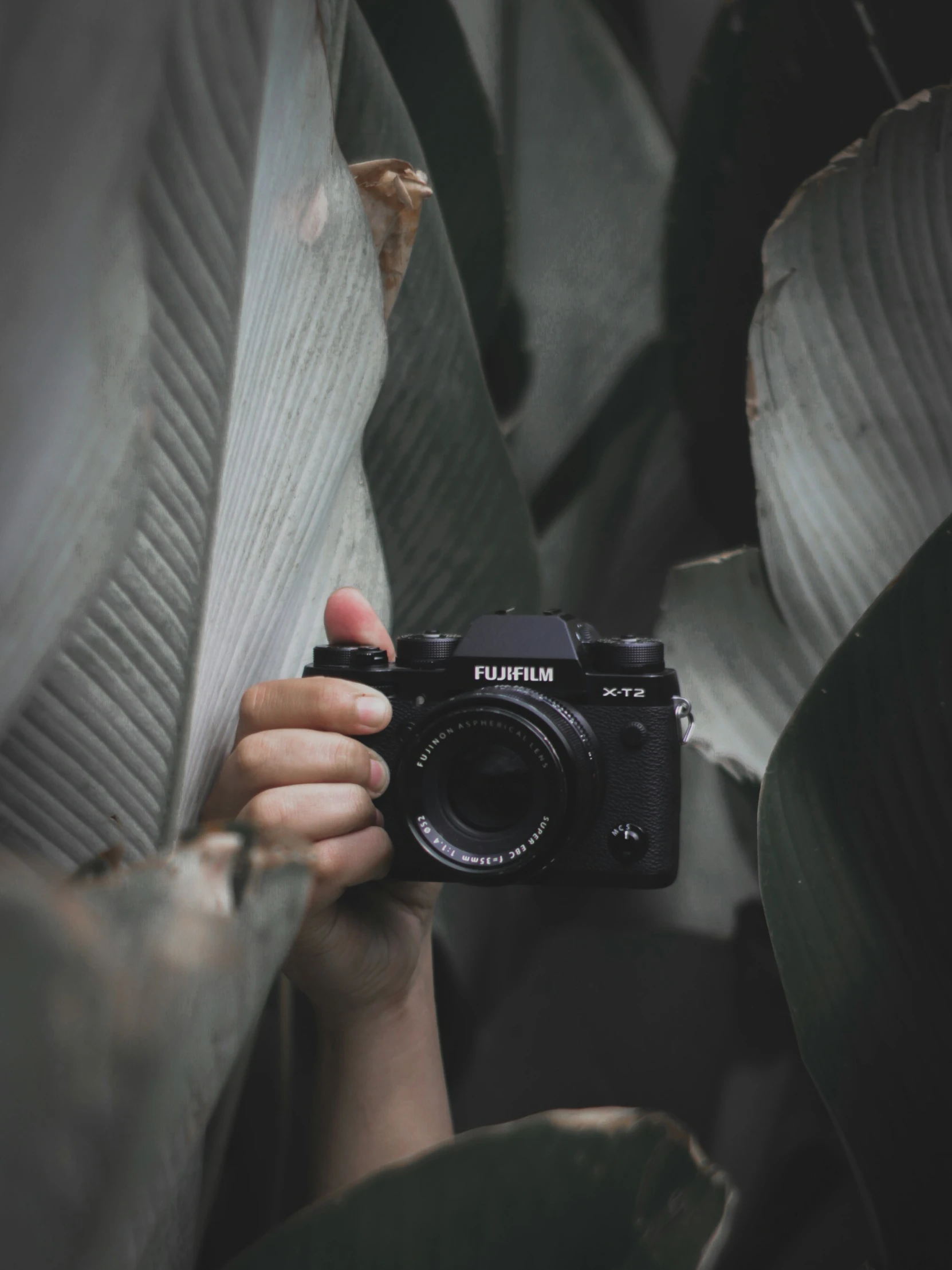 someone holding up a camera in front of a plant