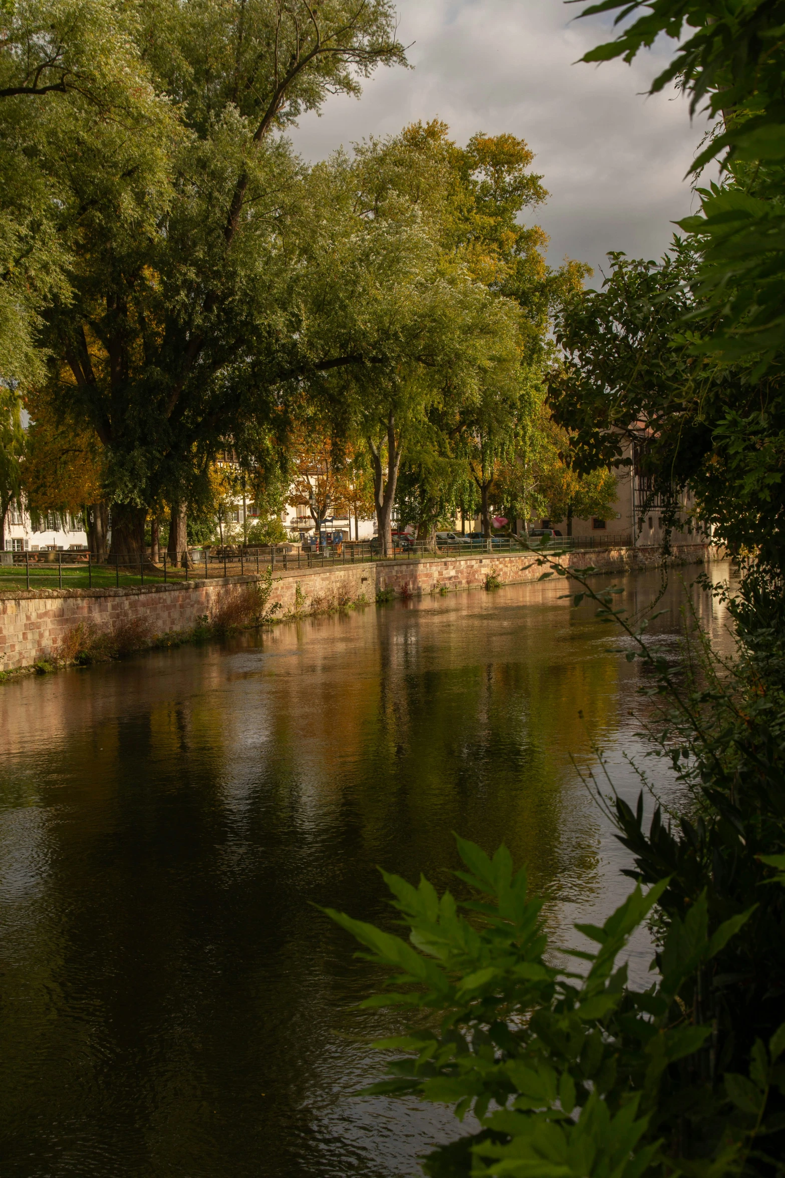 a river flowing under a cloudy sky next to a forest