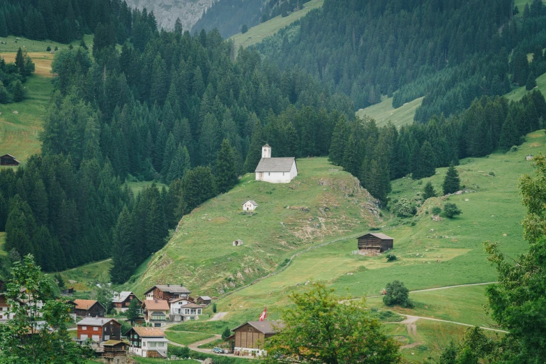 the landscape of the mountains is covered in lush green grass