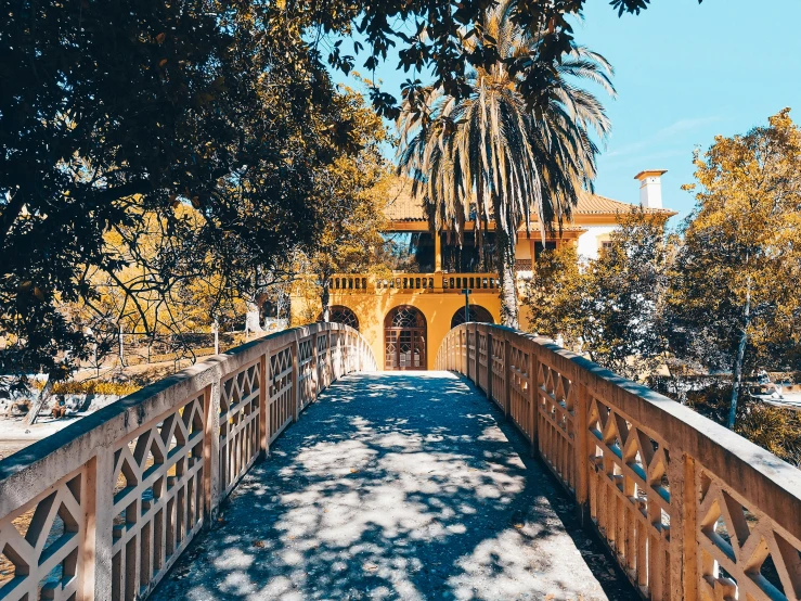 a walkway across a tree covered river with a bridge