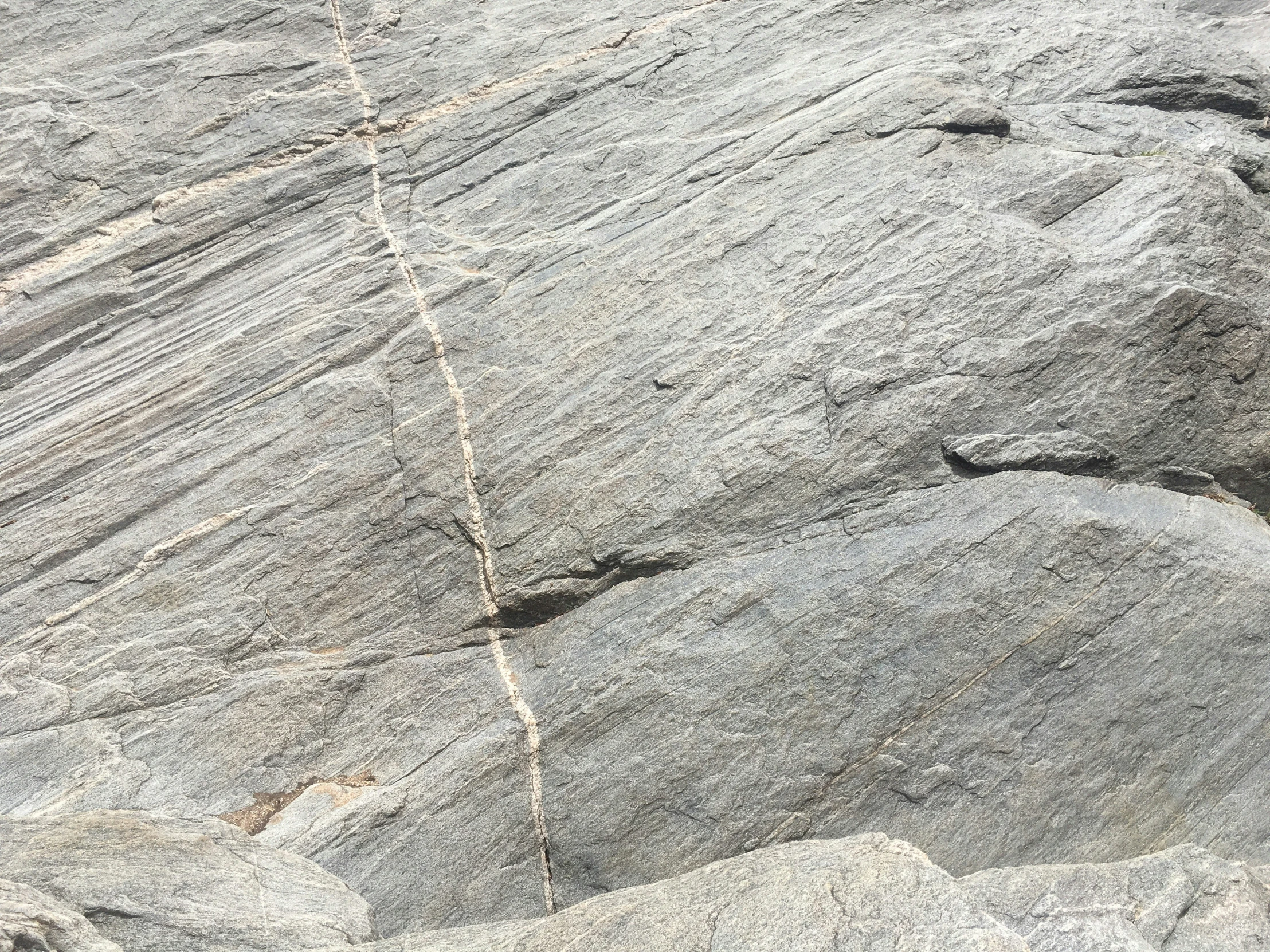 a red bird is perched on the rocks