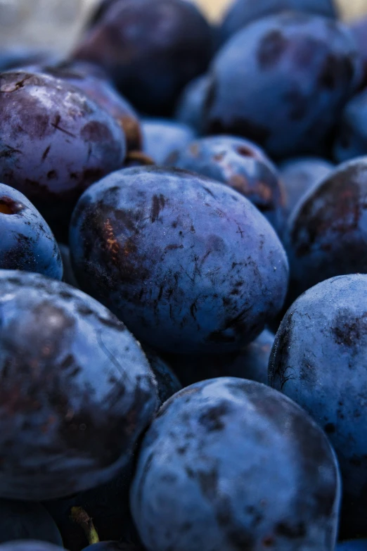 a pile of plums that have been taken apart