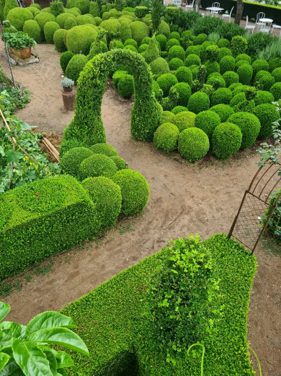 a spiral hedges in the middle of an outdoor garden